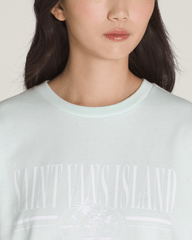 Vintage Retro Isle T-Shirt in White Mint | Vans sale