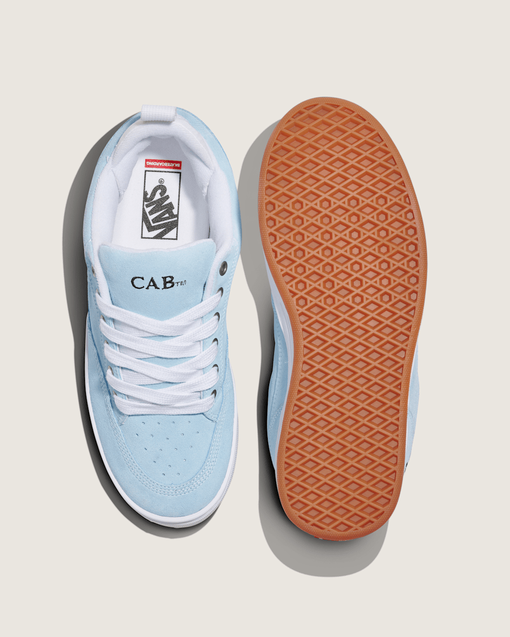 Skate Cab 4 Shoe in Baby Blue | Vans online