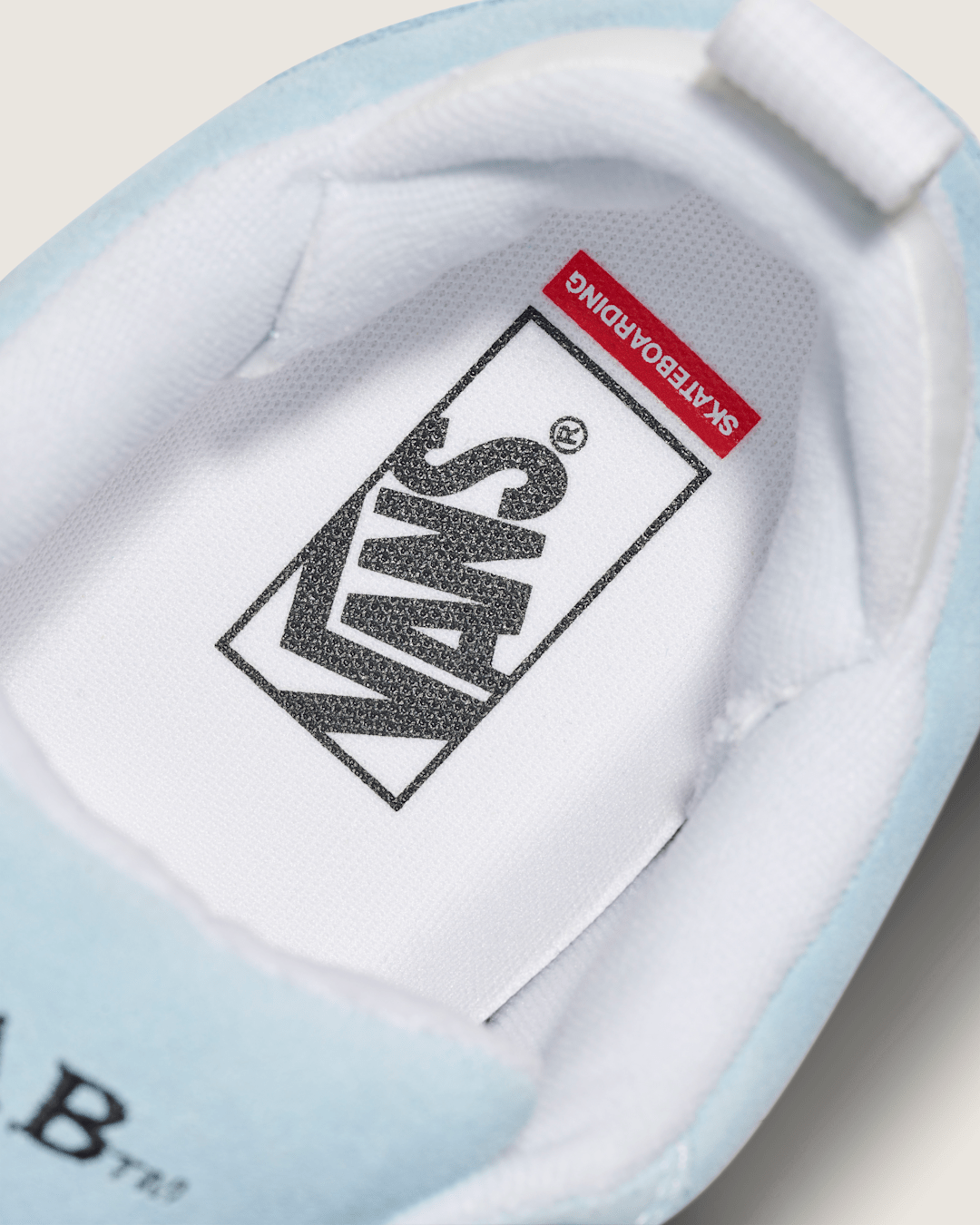 Skate Cab 4 Shoe in Baby Blue | Vans online