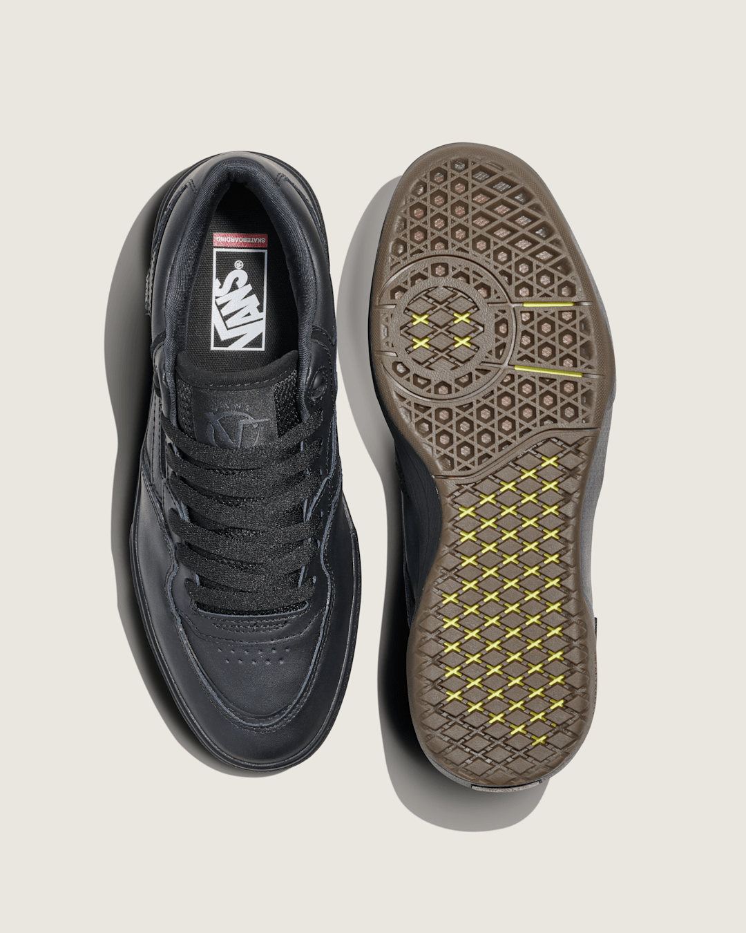 Skate Rowan 2.0 Leather Shoe in Black | Vans outlet