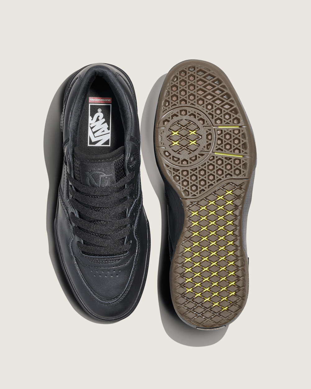 Skate Rowan 2.0 Leather Shoe in Black | Vans outlet