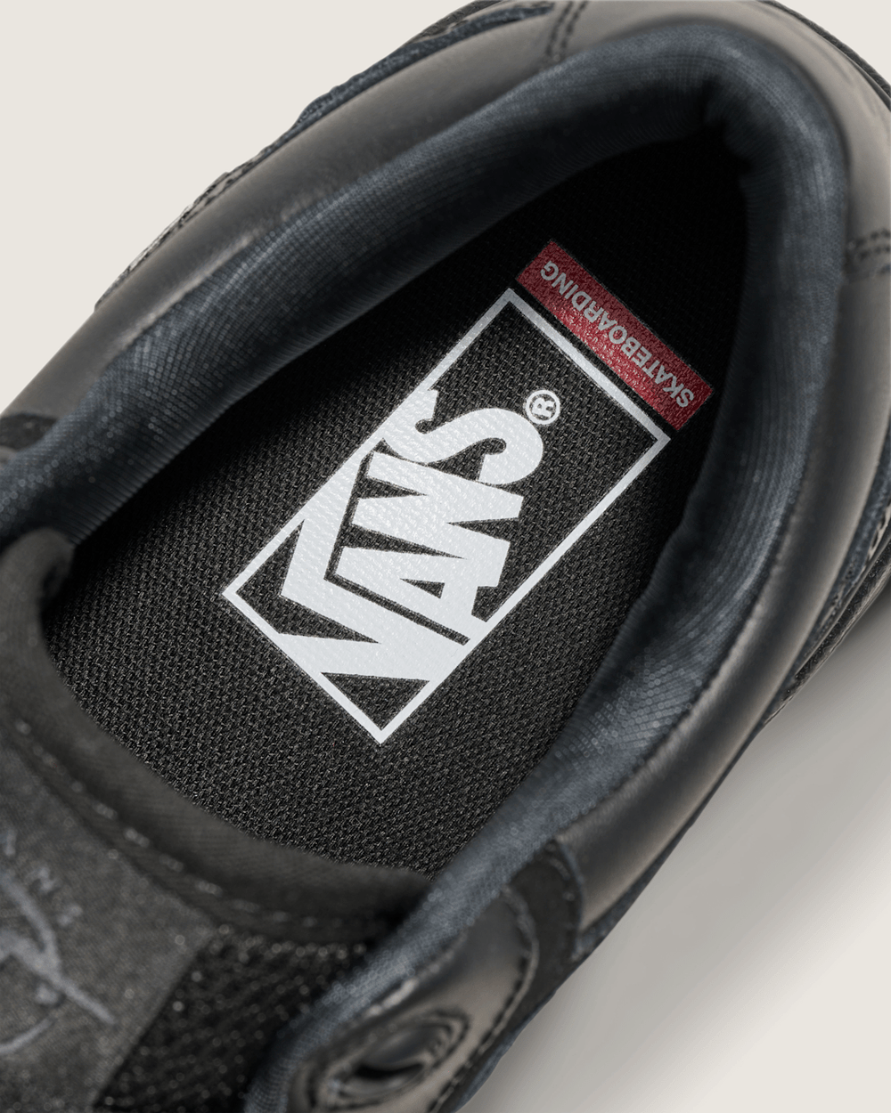 Skate Rowan 2.0 Leather Shoe in Black | Vans outlet