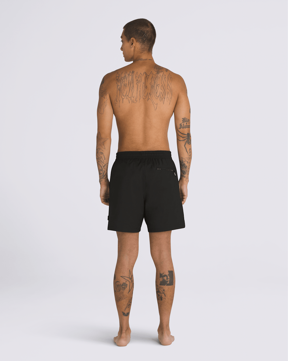 Primary 17'' Boardshorts in Black | Vans discount