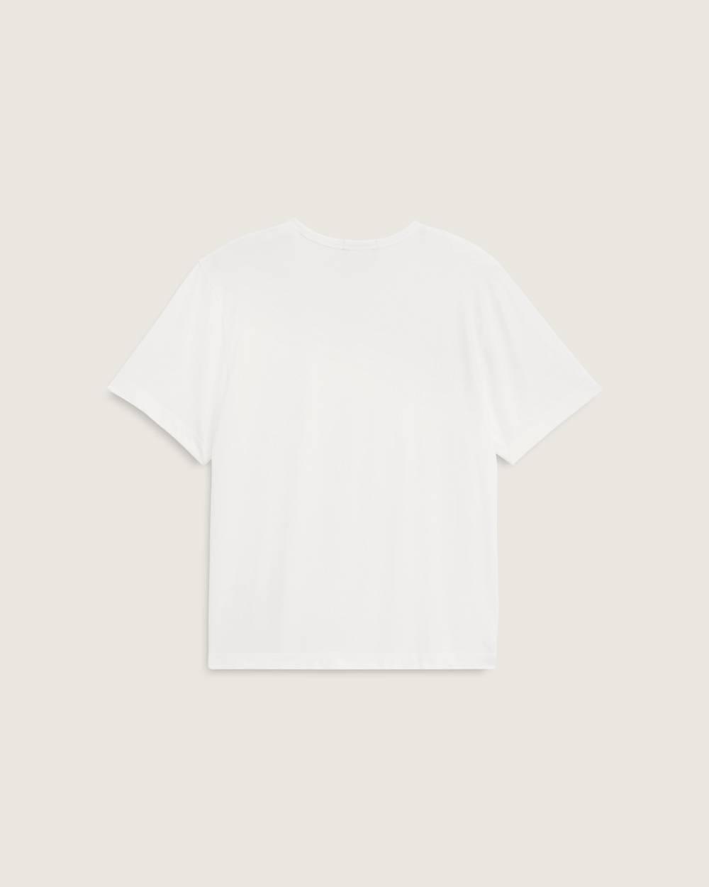 Premium Shrunken T-Shirt in Egret White | Vans discount