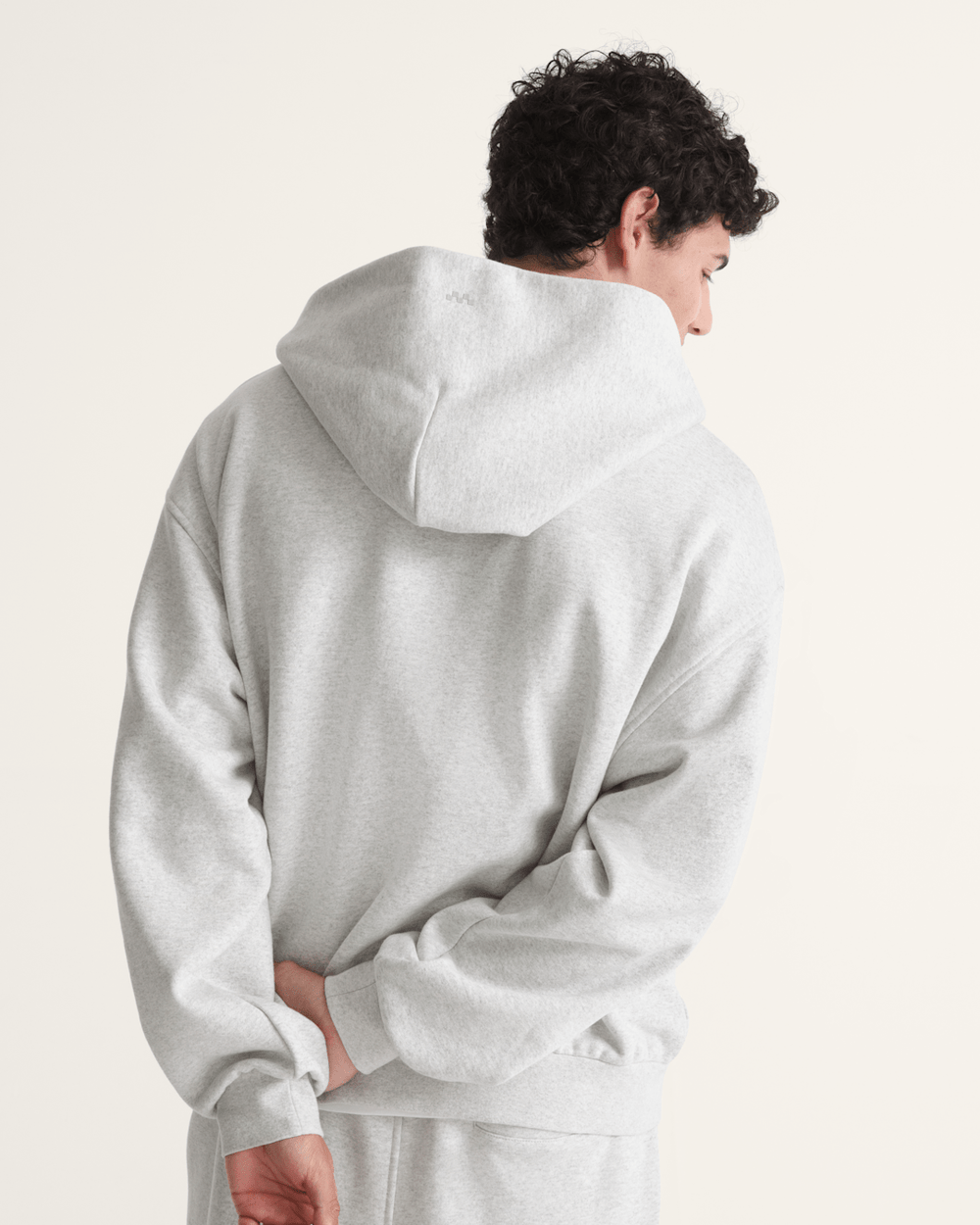 Premium Zip Hoodie in Ash Heather Grey | Vans on sale